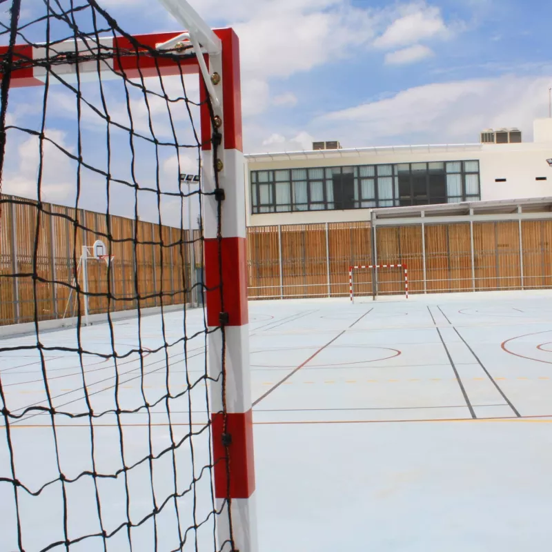 Buts Handball Haute compétition à Sceller (la paire)