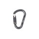 Relay carabiner with screw lock