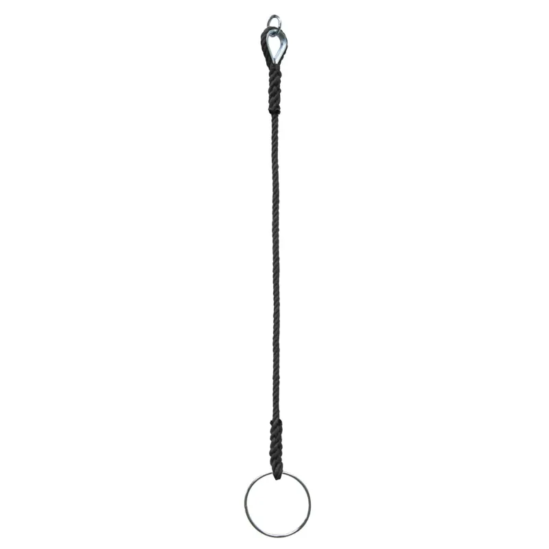 Corde à anneau