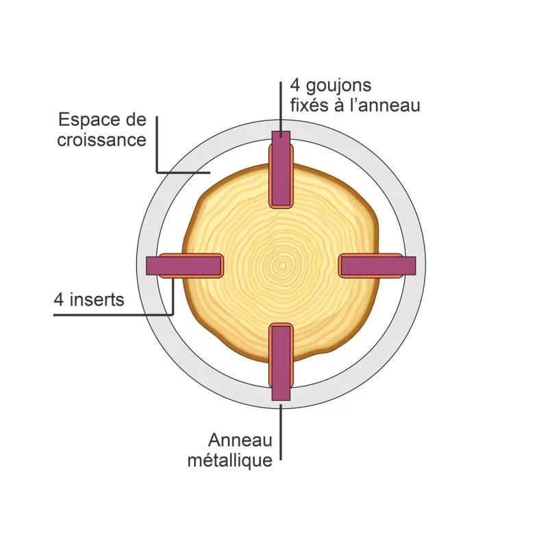 Anneau d'ancrage renforcé KUJANAK